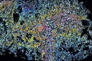 Cross Polarized, S88540