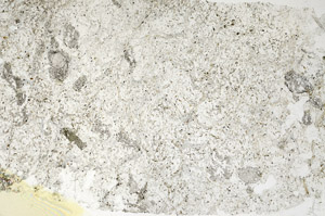 Plane Polarized, S88540