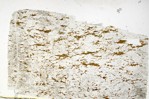 Plane Polarized, S88542/A