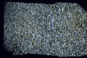 Cross Polarized, S88543