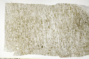 Plane Polarized, S88543
