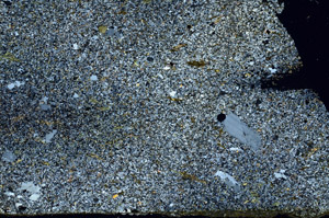 Cross Polarized, S88544