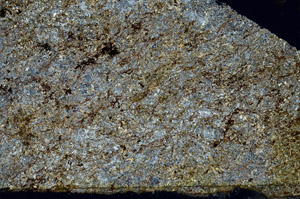 Cross Polarized, S88545
