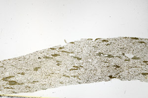 Plane Polarized, S88546