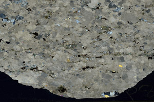 Cross Polarized, S88547