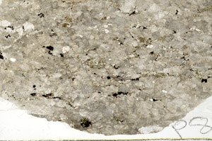 Plane Polarized, S88547