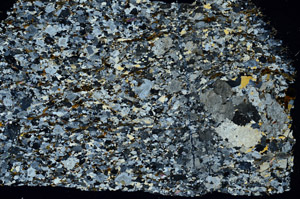 Cross Polarized, S88538/A