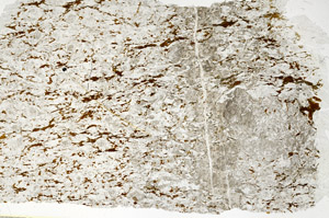Plane Polarized, S88538/A