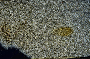 Cross Polarized, S88548