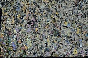 Cross Polarized, S88549