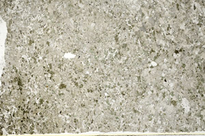 Plane Polarized, S88549