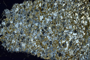 Cross Polarized, S88552