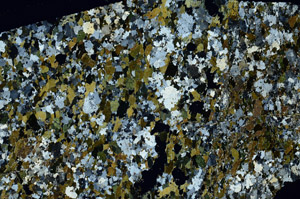 Cross Polarized, S88553