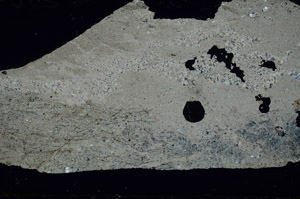 Cross Polarized, S88554