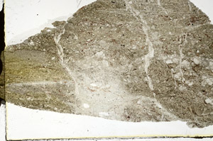 Plane Polarized, S88555