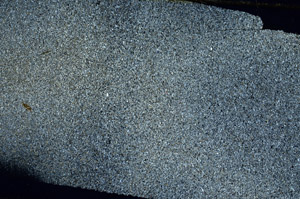 Cross Polarized, S88557