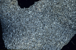 Cross Polarized, S88558
