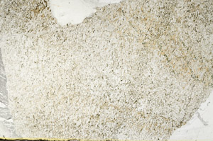 Plane Polarized, S88558