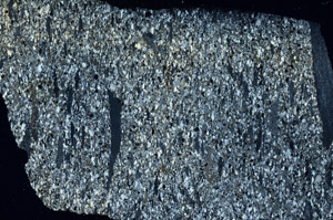 Cross Polarized, S88560
