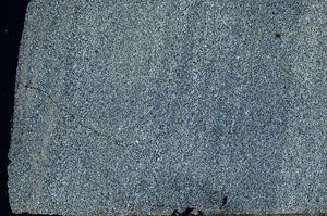 Cross Polarized, S88563
