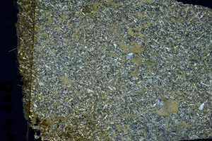 Cross Polarized, S88564