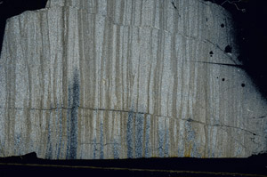 Cross Polarized, S88569