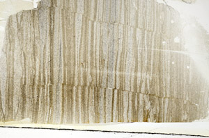 Plane Polarized, S88569