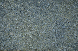 Cross Polarized, S88571