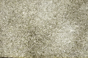 Plane Polarized, S88571
