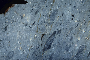 Cross Polarized, S88572