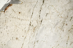 Plane Polarized, S88572