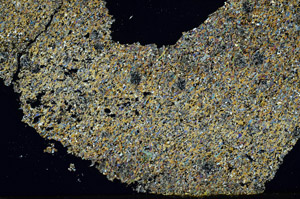 Cross Polarized, S88576