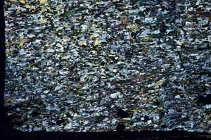 Cross Polarized, S88582