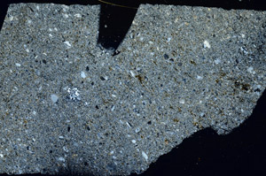 Cross Polarized, S88583