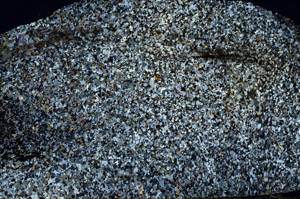 Cross Polarized, S88586