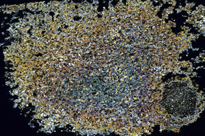 Cross Polarized, S88587