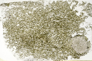 Plane Polarized, S88587