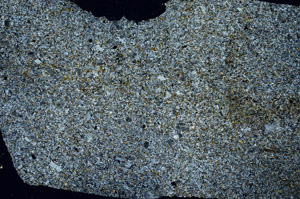 Cross Polarized, S88589