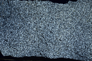 Cross Polarized, S88590