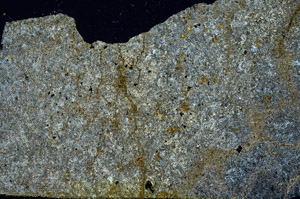 Cross Polarized, S88591