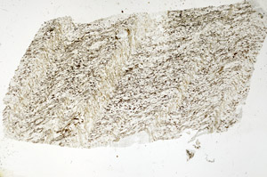 Plane Polarized, S88591/A