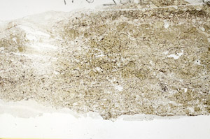 Plane Polarized, S88592