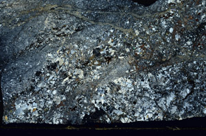 Cross Polarized, S88593
