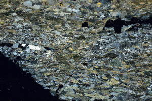 Cross Polarized, S88594
