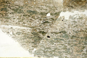 Plane Polarized, S88594