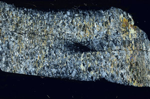 Cross Polarized, S88595