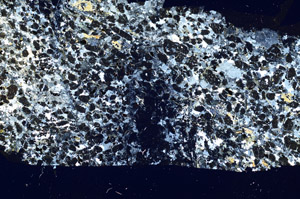 Cross Polarized, S88597