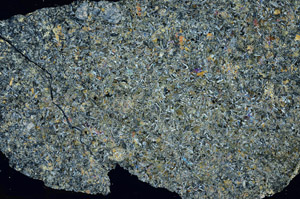 Cross Polarized, S88599