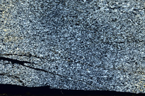 Cross Polarized, S88603