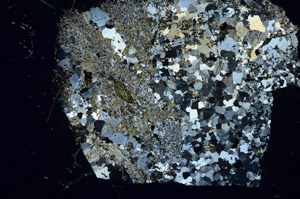 Cross Polarized, S88605
